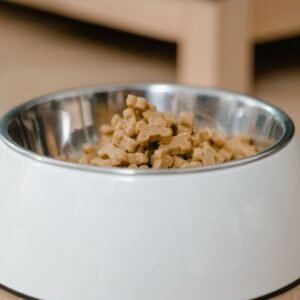 A stainless steel dog bowl filled with dry dog treats on a wooden floor.